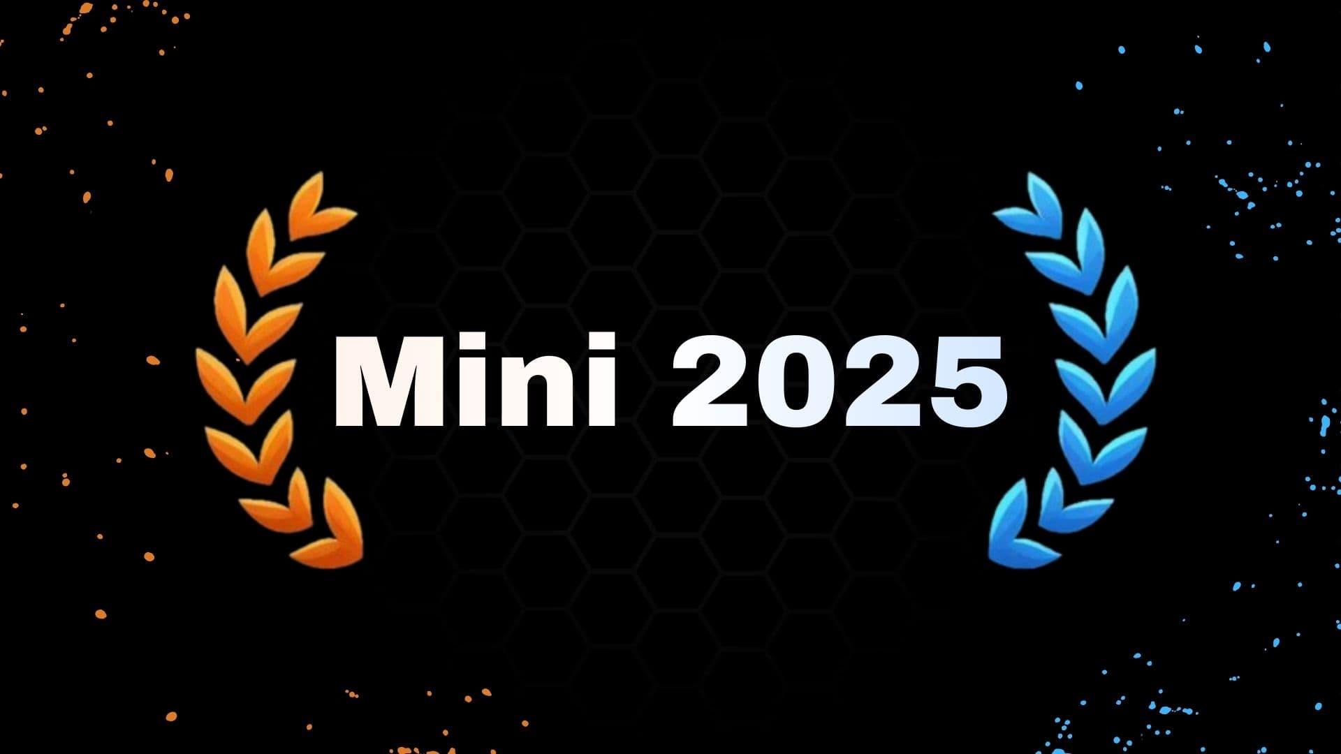 Mini NRLS 2025